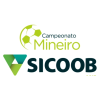 Campeonato Mineiro División 1 de Brasil
