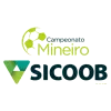 Campeonato Mineiro División 1 de Brasil