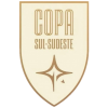 Copa Sur-Sudeste