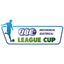 Copa de la Liga de Irlanda del Norte