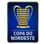 Copa do Nordeste de Brasil