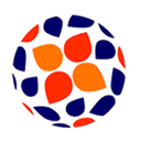 Campeonato Nacional Femenino de Portugal