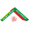 Campeonato Cymru de Gales