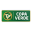 Brazilian Copa Verde
