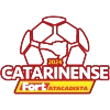 Campeonato Catarinense División 1 de Brasil