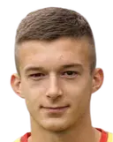 zvonimir petrovic