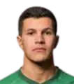Rui Pedro Pereira Morgado