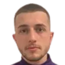 josip palic