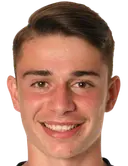 schwegler silvan