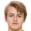 Oskar Fallenius