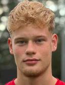 M Lüllemann
