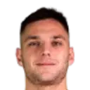 Domagoj jelavic