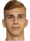 Erwin Softic