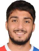 E. Demir
