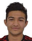E. Demir