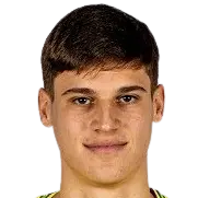 Niko Šepić