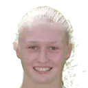 fiene bussman