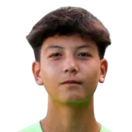 Jiang Jingqi