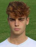 Alessio menato