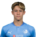 Mikkel brund