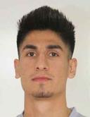 S. Polatdemir