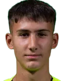 Vuk Draškić