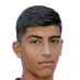 زانيتوس سافا