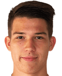 Simon Vyhlid