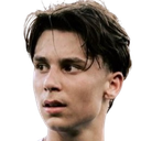 Dominik Papic