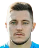 Petar Dodig