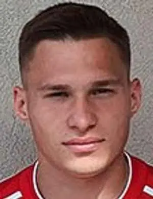 Nikola Stegnjaja