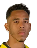 Pedro Vitor Ferreira da Silva