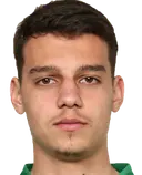 Mitja Krizan