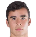 Fernando Illescas
