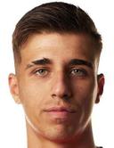 devid lazzarini