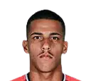 Gabriel Delfim Ferreira