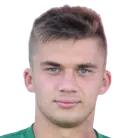 Artem Chelyadin