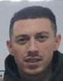 Alin Tegle