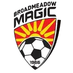 Reservas de Broadmeadow Magic