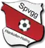 SpVgg Hankofen-Hailing
