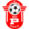Rabotnicki Skopje U19