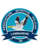 Pelican Lambarene
