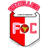 এটিনসেলস