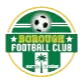 Borough