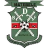 BDF XI
