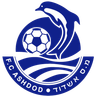 Ashdod MS U19