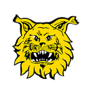 Ilves base juvenil