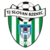 Horní Bříza