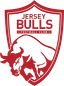 Jersey Bulls