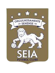 Seia FC U17